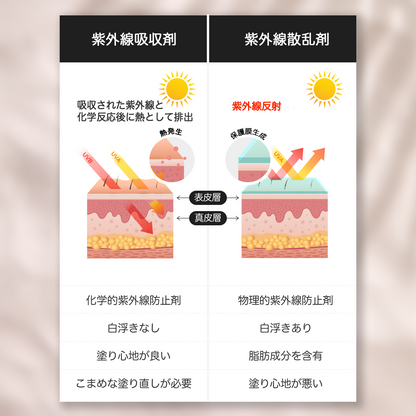 Radiance Daily Tone Up Cream